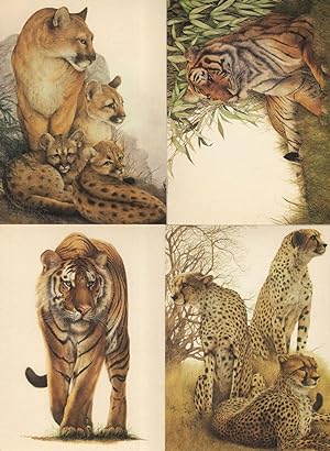 Tiger Puma Cubs 4x Giant Cat Painting Postcard s