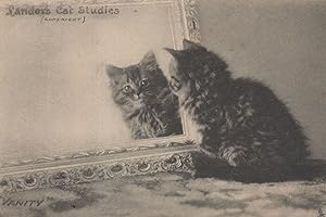Landers Cat Studies Vanity Mirror 1904 Old Cats Postcard