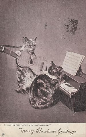 Cat Playing Piano Classical Guitar Music Cats Comic Greetings Postcard