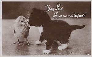 Say Kid Have We Met Before Cat Kitten & Chick Bird Comic RPC Postcard