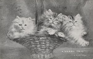 A Merry Trio Of Kittens 3x Cats Rare Cat Panel Antique Postcard