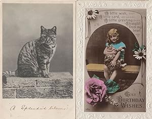 Tabby Cat A Splendid Likeness 2x Antique Cats Postcard s