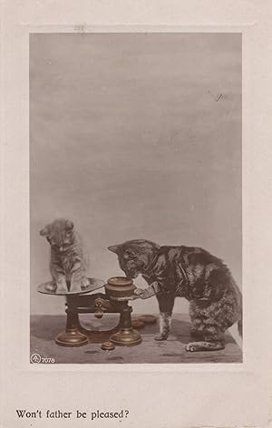 Won't Father Be Pleased Cats on Weighing Scales Antique Postcard