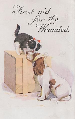 Medical First Aid For The Wounded Cat Dog Military Comic WW1 Postcard