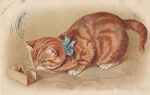 Cat With Mouse Trap Dorothy Travers Pope Antique Cats Postcard