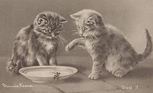 Wasp Hornet On Cats Milk Bowl Swat It Kittens Comic Old Postcard