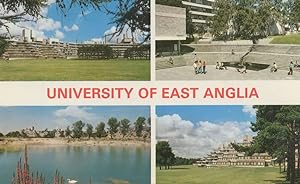 Norwich University Of East Anglia 1970s Norfolk Postcard