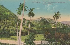 Matanzas Cuba Antique Postcard
