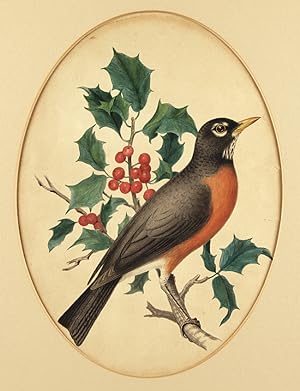 [FOUR ORIGINAL ORNITHOLOGICAL WATERCOLOR AND PENCIL DRAWINGS BY 19th-CENTURY BOTANICAL AND ZOOLOG...