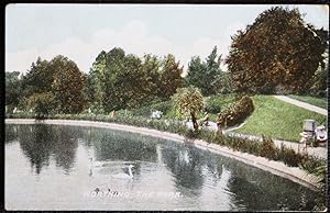 Worthing Sussex Postcard The Park Vintage View