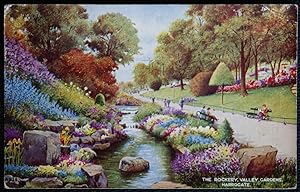 Harrogate Postcard Rockery Valley Gardens Artist J. Hutton 1954