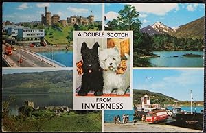 Inverness Scotland Vintage 1973 Postcard Black & White Dogs
