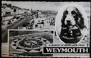 Weymouth Postcard Real Photo Good Luck Dog LOCAL PUBLISHER