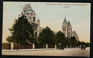 London Natural History Museum Vintage 1907 Postcard