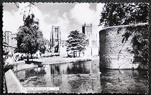 Wells Cathedral Somerset Postcard Real Photo