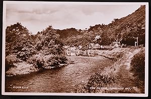 Symonds Yat The Rapids Real Photo Postcard