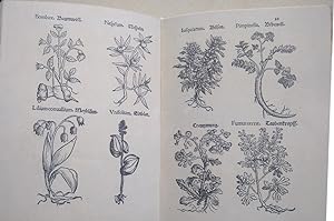 Herbarum imagines vivae = Der Kreuter lebliche Contrafaytung
