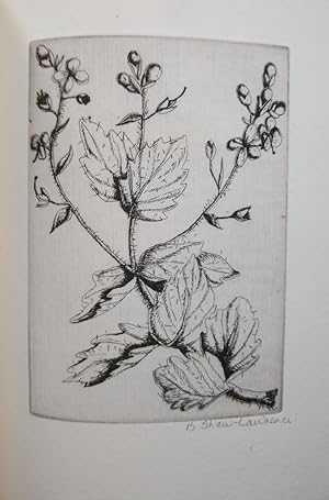 An Herbarium for the Fair, Being a Book of Common Herbs with Etchings By Betty Shaw-Lawrence. Tog...