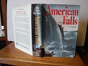 American Falls: a Novel