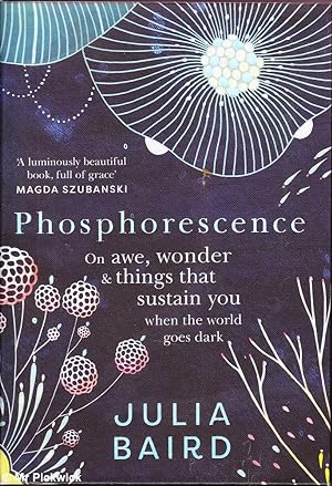 Phosphorescence: On Awe, Wonder & Things That Sustain You
