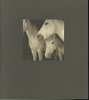 21ST: THE JOURNAL OF CONTEMPORARY PHOTOGRAPHY, CULTURE & CRITICISM Volume One.