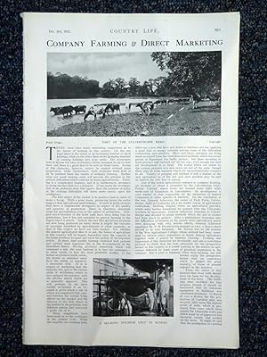 The Culverthorpe Herd, ( General Aldercron's cattle at Culverthorpe Hall nr Grantham), complete o...