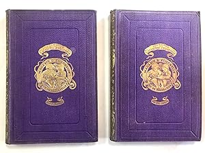 Magasin d'Education et de récréation 1872 - 1873 9e Année, 17 et 18eme Volume