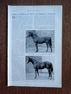 Lord Lonsdale's Stud at Barley Thorpe., complete 4 page original article from 1927 Country Life M...
