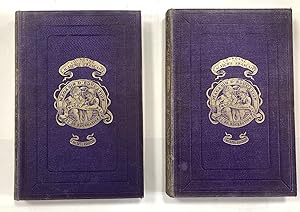 Magasin d'Education et de récréation 14eme Année 1878 , 27eme et 28eme volume.