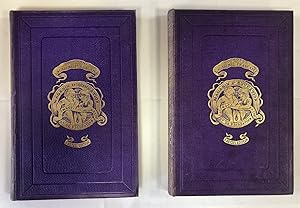 Magasin d'Education et de Récréation 18eme Année 1882, Volume 35 et 36 - Jules Verne L'école des ...