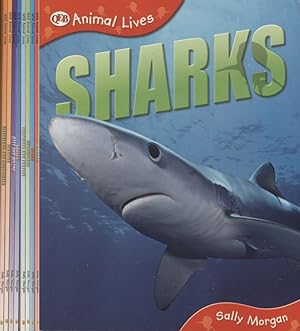 Books Are Fun 8 Title Animal Lives Set : Sharks : Bears : Orangutans : Tortoises and Turtles : Ea...