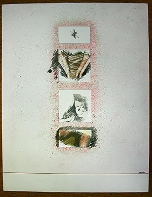 DOROTEO ARNAIZ: "Dessin" - Original drawing by Doroteo Arnaiz, 53 x 66 cm