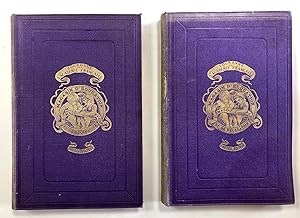Magasin d'Education et de récréation 22eme Année 1886 volumes 43 et 44