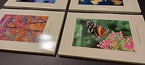 Morning Song - 4 Volumes Book Lot