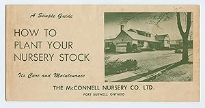 How To Plant Your Nursery Stock