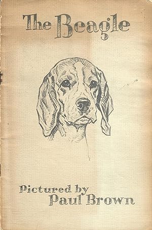 The Beagle; Pictured by Paul Brown