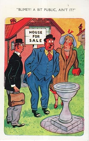 Public Toilet WC Bog On Lawn Estate Agent Agency Comic Postcard