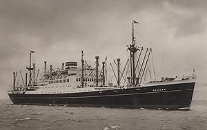 SS Noordam Steamer Ship Holland America Line RPC Postcard
