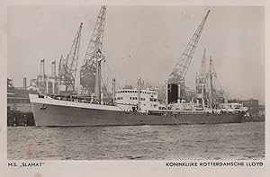 MS Slamat Koninkluke Rotterdamsche Lloyd Ship Rare RPC Postcard