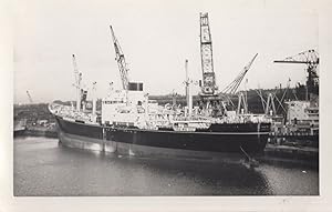 Cheshire Motor Vessel Bibby Line Ship Rare Vintage Photo
