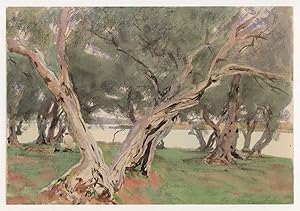 John Singer Sargent Olive Trees Watercolour Painting Rare Postcard