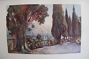 1905 Original Italian Print - Italian Travel Colour Plate - Cypress Avenue, Villa Del Pizzo, Lago...