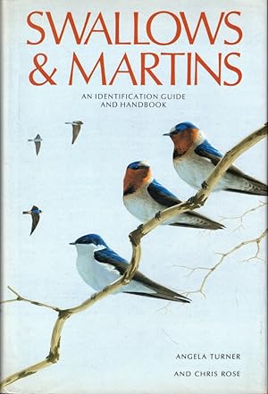 Swallows and Martins: An Identification Guide and Handbook