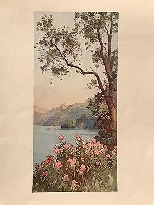 1905 Original Italian Print - Italian Travel Colour Plate - Lago di Lecco, Lago di Como