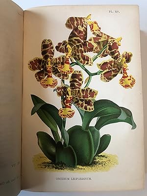 Le Livre des orchidées