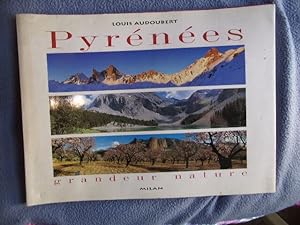 Pyrénées grandeur nature
