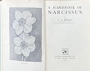 A handbook of Narcissus