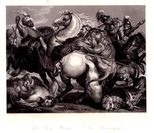 Die Löwenjagd  The Lion Hunt. Stahlstich von von A.Carse P.P.Rubens.