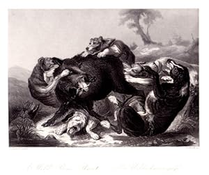 Die Wildschweinjagd  A Wild Boar Hunt. Stahlstich von W.French nach J.Jacobsen.