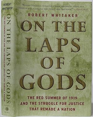 On the Laps of Gods: The Red Summer of 1919 and the Struggle for Justice That Remade a Nation